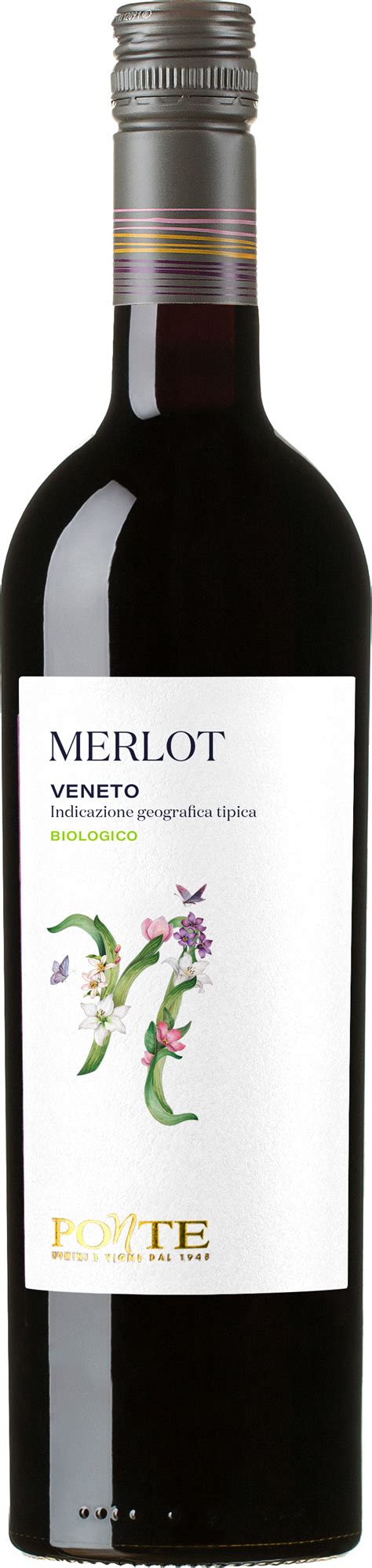 Merlot Veneto IGT Biologico 2023 750 Ml GES Sorrentino