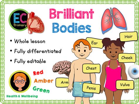 Body Parts Ks1 Teaching Resources