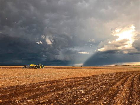 Februarie Bepalend Vir Boere In Die Vrystaat Landbou
