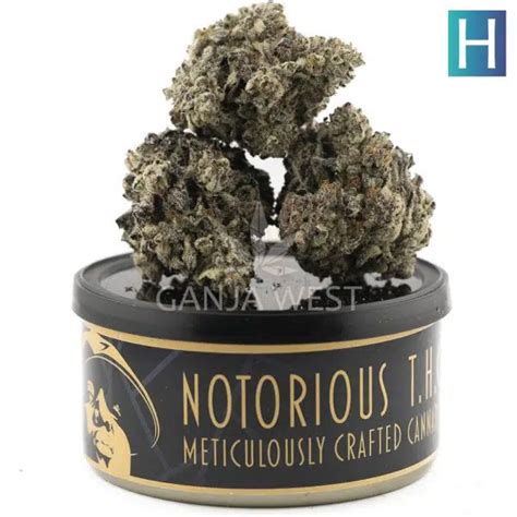 Notorious THC Craft Dark Blue Dream 7 Grams Ganja West