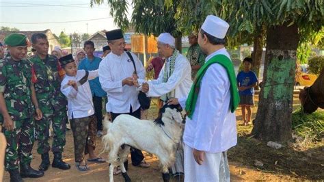 Ini Yang Dilakukan Panita Masjid Agung Batang Agar Pembagian Daging