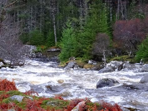 A Monthly Update Of Events At Kildermorie Estate