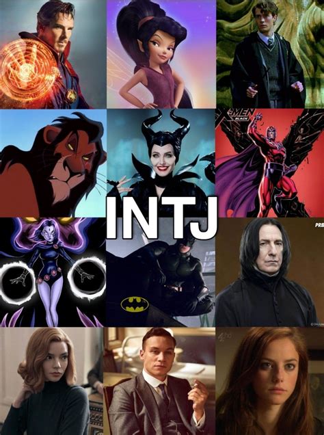 Entp And Intj Mbti Charts Intj Personality Mbti Character Myers Sexiz Pix