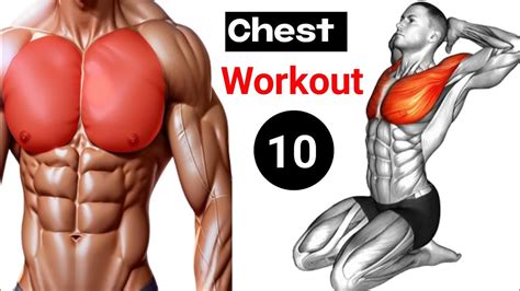 The Best Chest Muscles WORKOUT At Home Without Equipment Workout