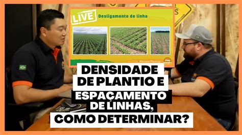 COMO DETERMINAR A DENSIDADE DE PLANTIO E ESPAÇAMENTO ENTRE AS LINHAS