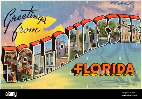 Greetings From Tallahassee Florida Tichnor Brothers Collection Postcards Of The United