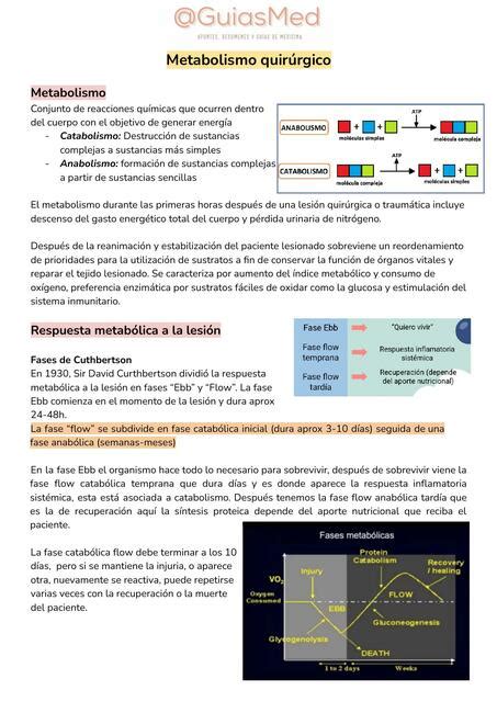 Metabolismo Quirúrgico Cirugía GuiasMed uDocz