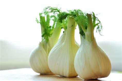 What Does Fennel Taste Like The Kitchen Community