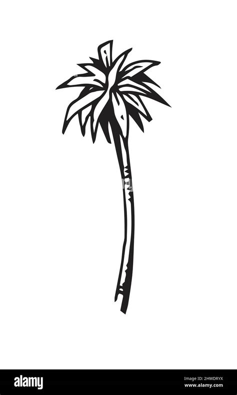 Funny Palm Tree In Outline Style For Engraving Fast Casual Style