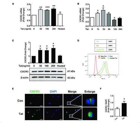 Hiv Tat Mediated Upregulation Of Cxcr3 In Human Monocytes A