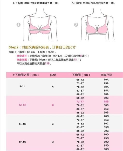 胸围怎么区分abc 图库 五毛网