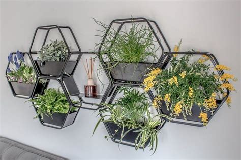 Indoor Wall Planters Hanging Wall Planter Floating Shelves