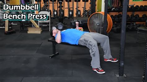 Dumbbell Bench Press Tutorial Youtube