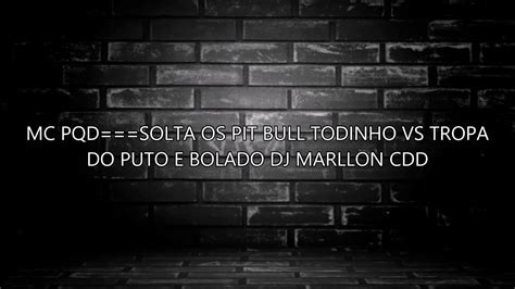 MC PQD SOLTA OS PIT BULL TODINHO VS TROPA DO PUTO E BOLADO DJ MARLLON