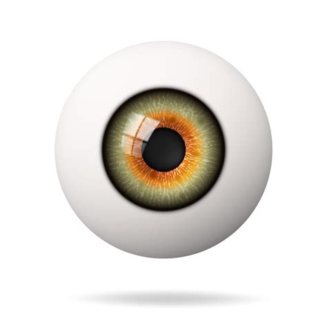 Premium Vector Realistic Human Eyeball The Retina Is The Foreground