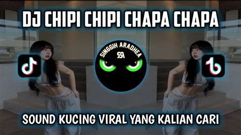 DJ CHIPI CHIPI CHAPA CHAPA SOUND KUCING VIRAL YANG KALIAN CARI YouTube