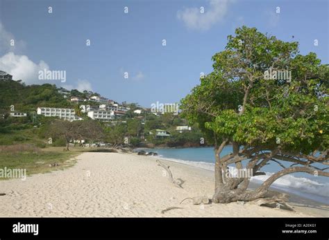 Caribbean Grenada Grande Anse Morne Rouge Morning View Of Grande