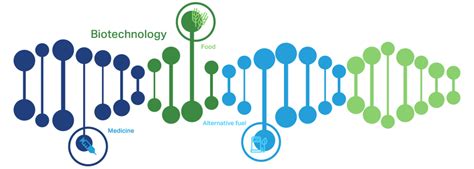 What is Life Science? | Biotech Basics | NC Biotech