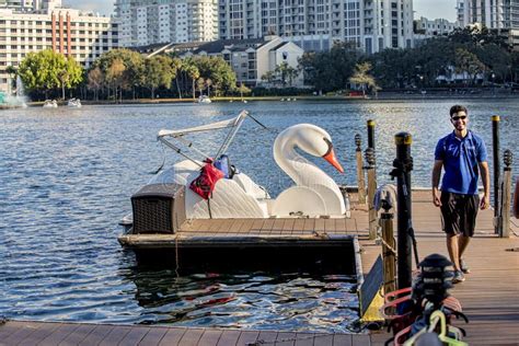 Lake Eola Swan Boats editorial image. Image of float - 88586185