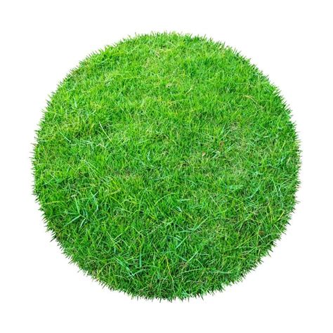 Abstract Green Grass Texture For Background Circle Green Grass Pattern