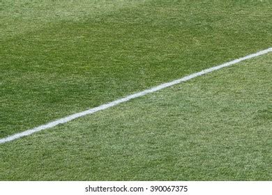 Football Soccer Field Grass Stock Photo 390067375 | Shutterstock