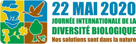 La Journée mondiale de la biodiversité chaque année le 22 mai