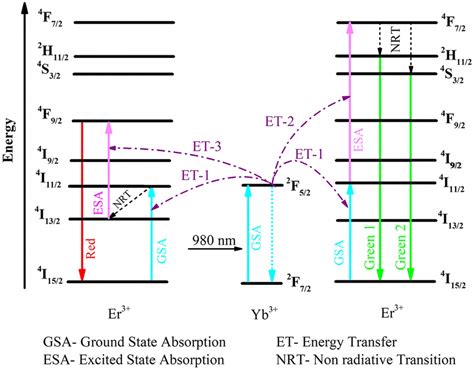 Schematic representation of energy levels in Yb³ and Er³ along with