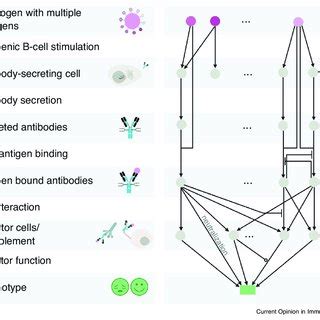 Metaboverse Identifies Several Reaction Motifs Of Interest In Mct