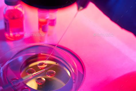 Embryo Biopsy Procedure In A Modern Laboratory Stock Photo By Iakobchuk