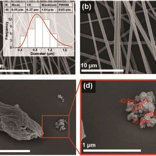 Sem Micrographs At Magnification Level A And B And