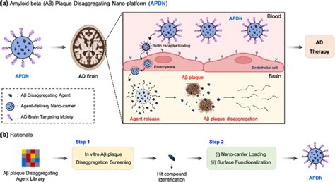 a Schematic illustration of amyloid beta Aβ plaque disaggregating