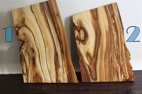 Apricot Slabs Spalted Wood Punky Tree Core Tree Planks Etsy Tree Plank Wood Wood Supply