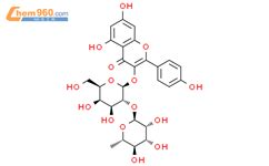 S R S S R Dihydroxy Hydroxymethyl S R R S S