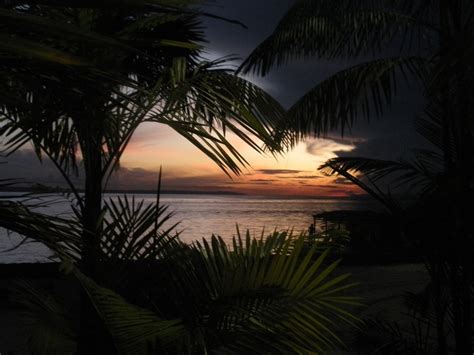 manaus brazil beautiful world favorite places amazonas