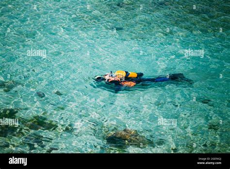 Male Scuba Diver Swimming Under Water In Sea Ocean Stock Photo Alamy