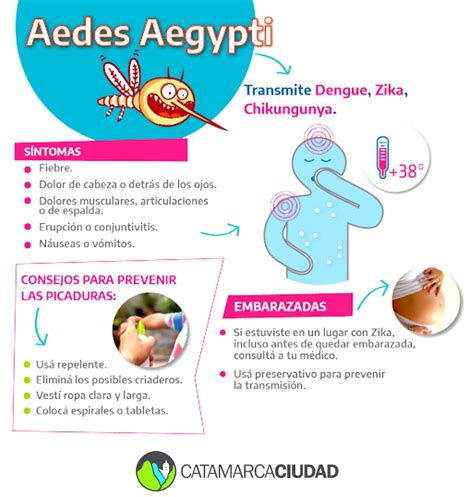 Blog Dengue Catamarca Capital RECOMENDACIONES PARA PREVENIR DENGUE