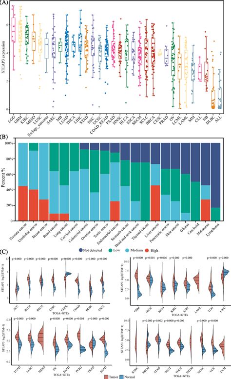 The Expression Landscape Of Steap In Human Pancancer A The