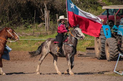 Estudiantes de Medicina Veterinaria realizan práctica en la Feria