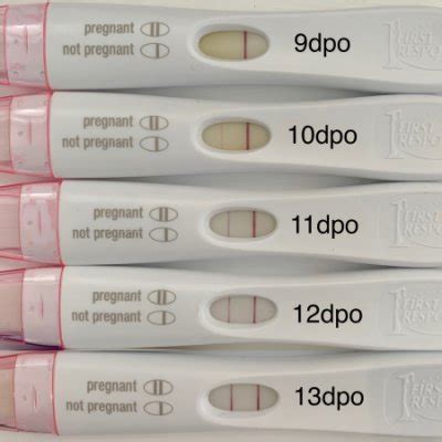 BFP Line Progression BabyCenter