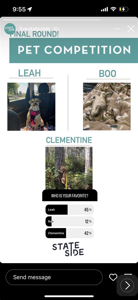 Pet Contest Get Online Votes