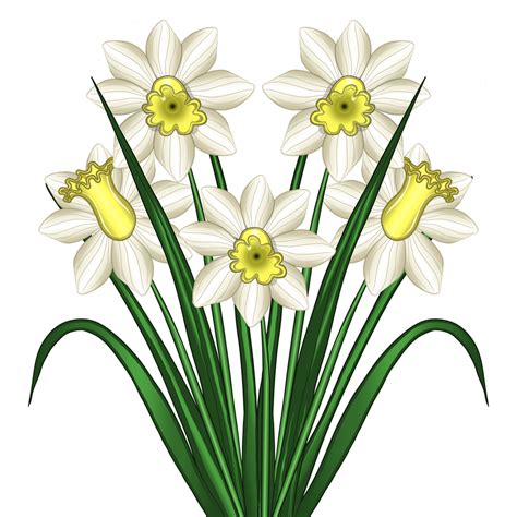 Download Flowers Daffodils Spring Royalty Free Stock Illustration