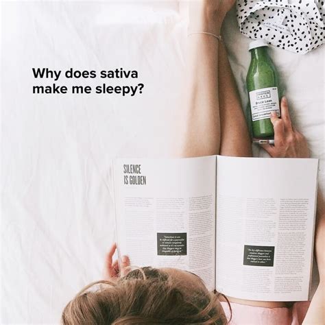 What Does Sativa Make You Feel | What Does Sativa Do?