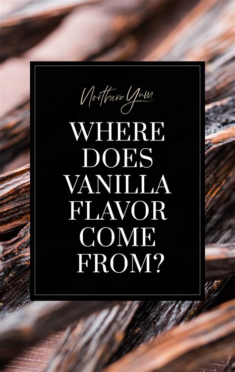 Where Does Vanilla Flavoring Come From Pin Northern Yum