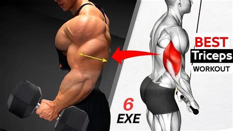 6 Effective Triceps Exercises For Bigger Arms Bigger Tricep Workout At Gym Youtube