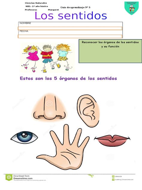 PDF Ficha 3 De Los Sentidos DOKUMEN TIPS