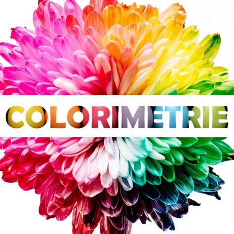 Colorim Trie Trouver Les Couleurs Qui Me Vont R V Lez Votre Image