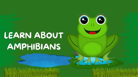 Leap Into Learning The Wonderful World Of Amphibians Kids Video Youtube