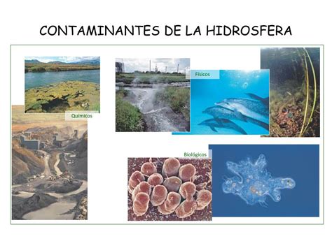 PPT 4 HIDROSFERA CONTAMINACIÓN DEL AGUA PowerPoint Presentation