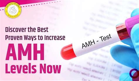 Discover The Best Ways How To Increase AMH Levels