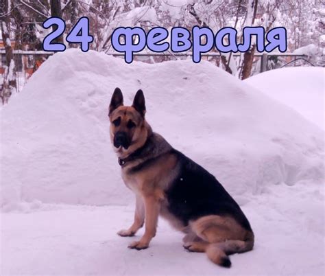 24 февраля- Календарь Истории.